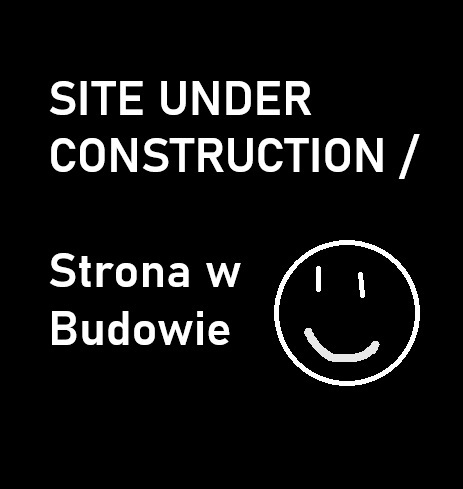 WHy Czest.eu is taking so long ?